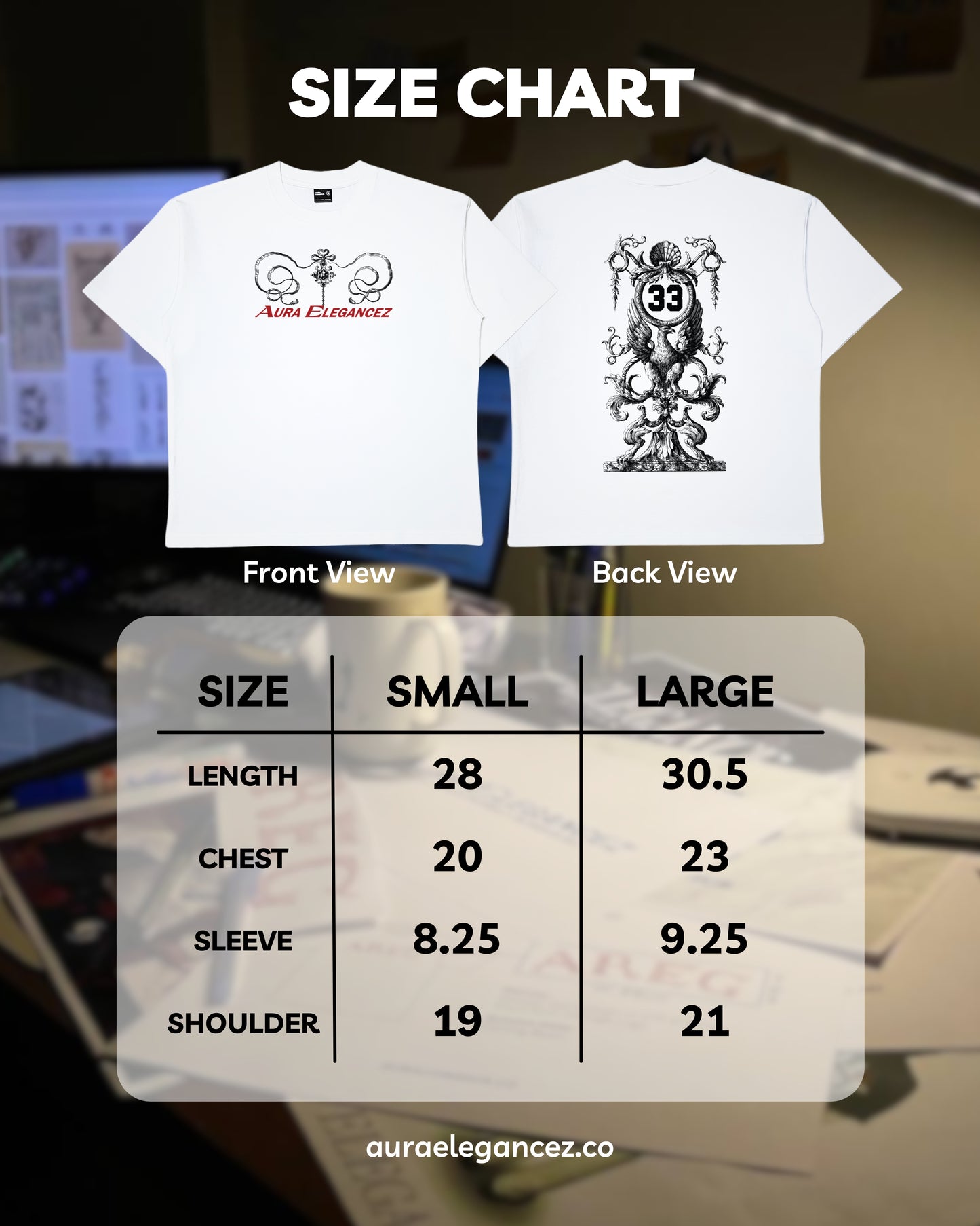 VIN03: AREG Vintage Big Graphic Tee