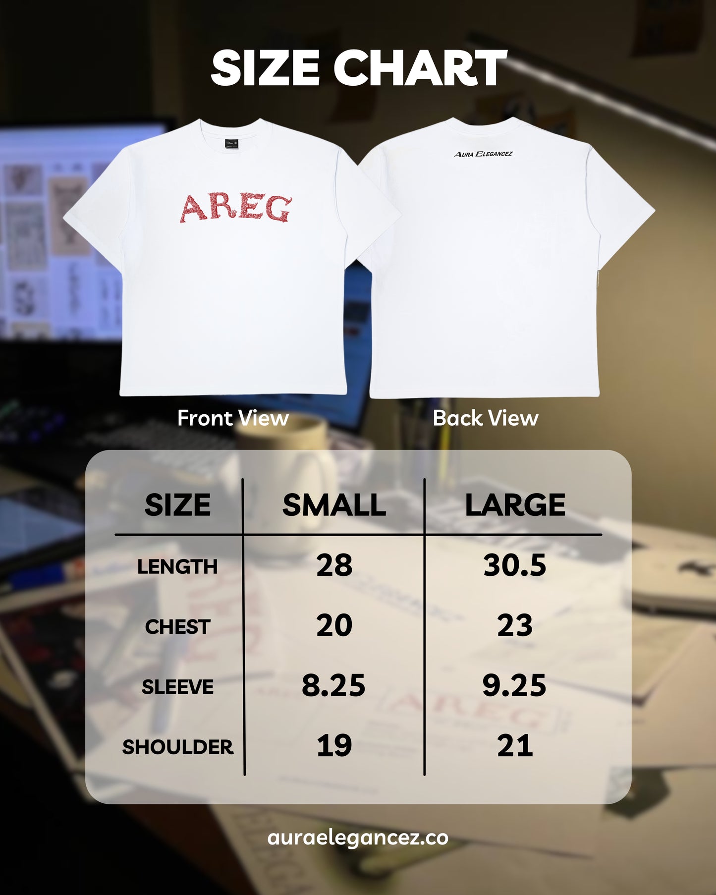 VIN02: AREG Vintage Graphic Logo Tee